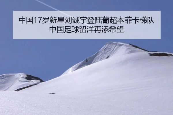 中国17岁新星刘诚宇登陆葡超本菲卡梯队 中国足球留洋再添希望